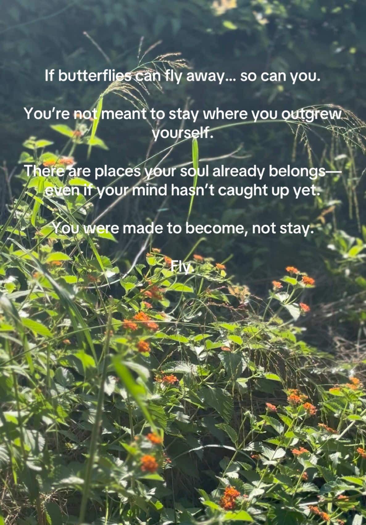 @graceinprogress365
