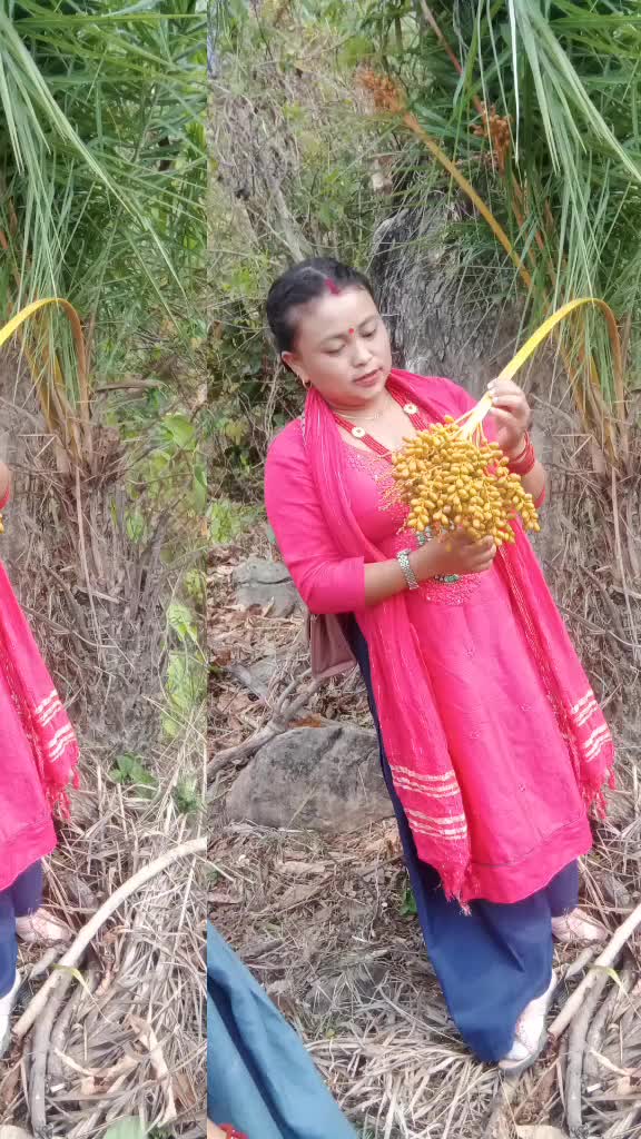@Tulsiale