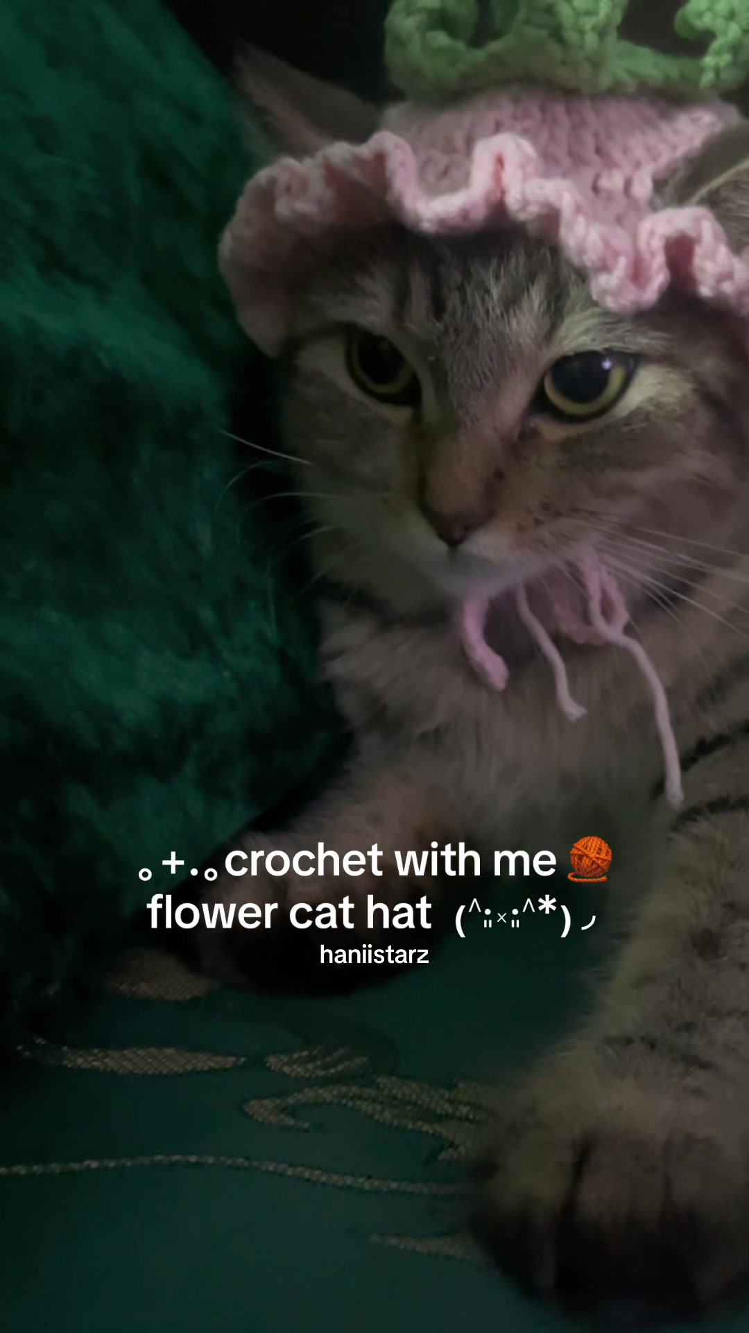 @haniistarz 🎞️🧶