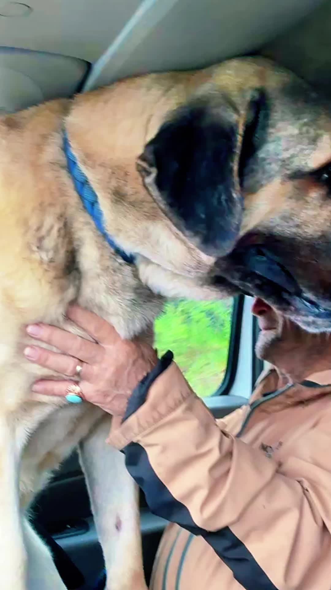 @Purekangal