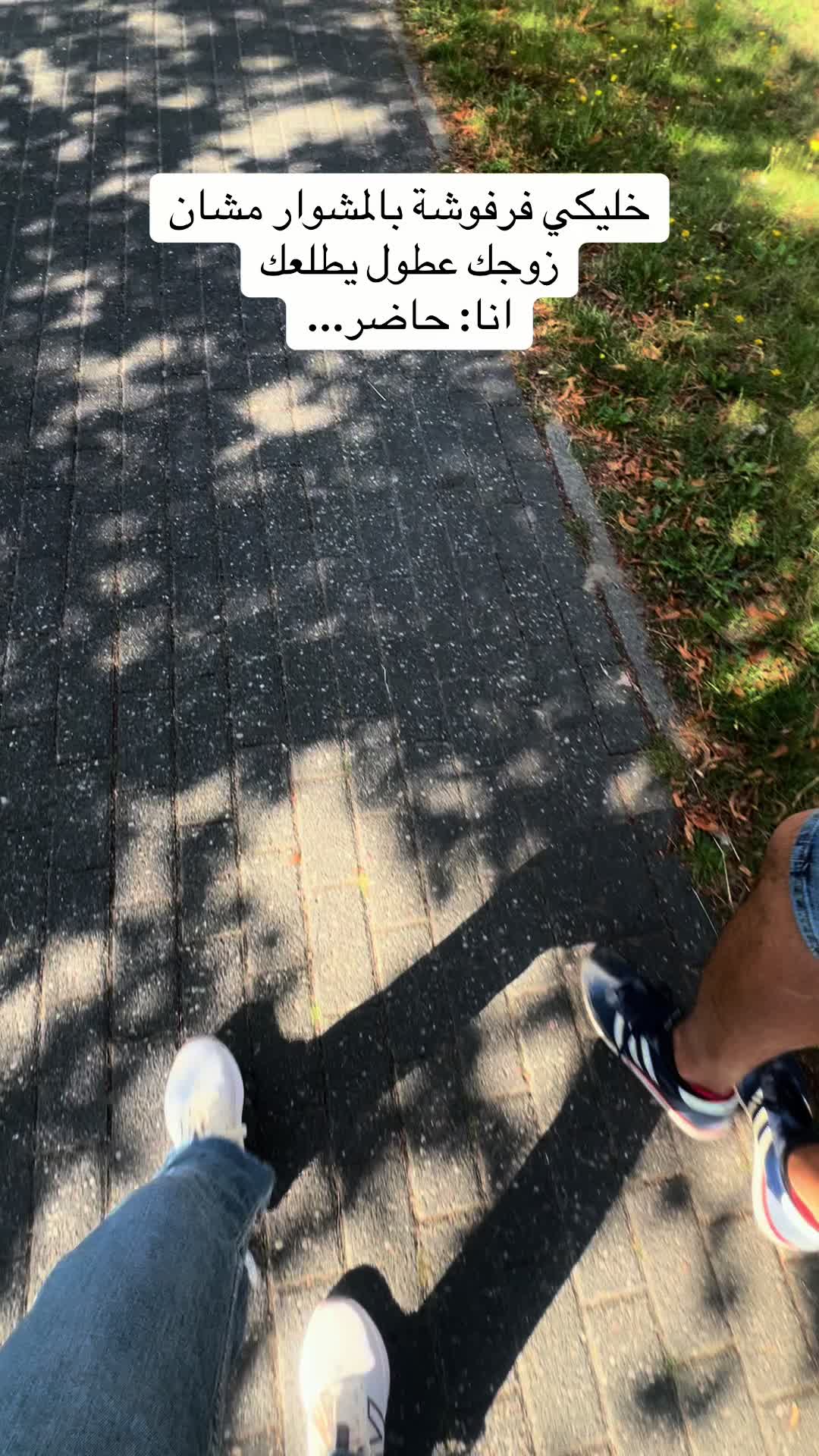 @tuteh🌷