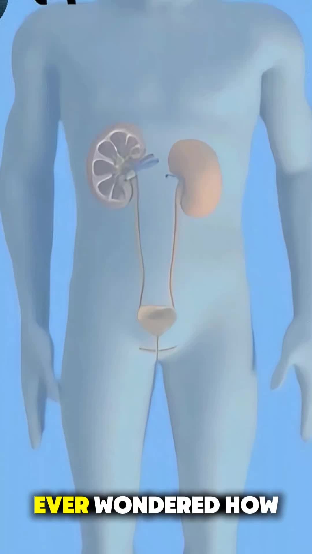 @InsideHumanLab