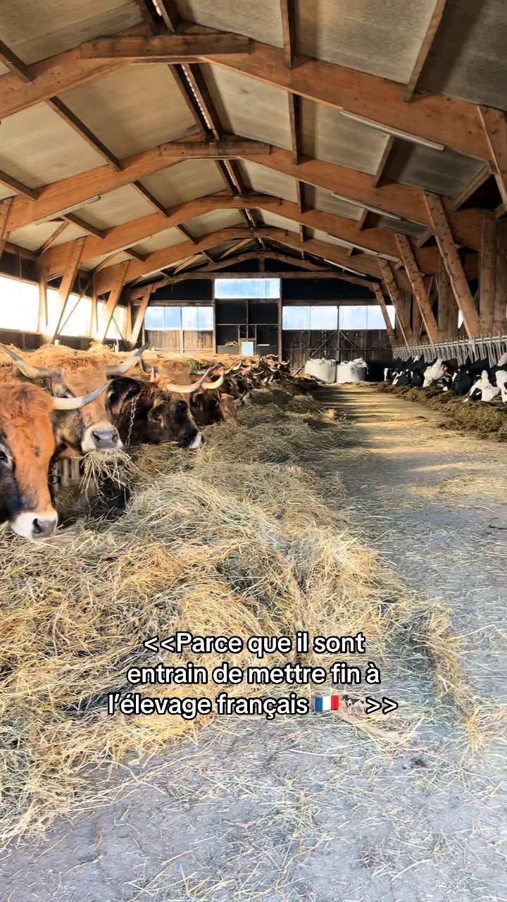 @🌾j'aime pas les veganes 🌾