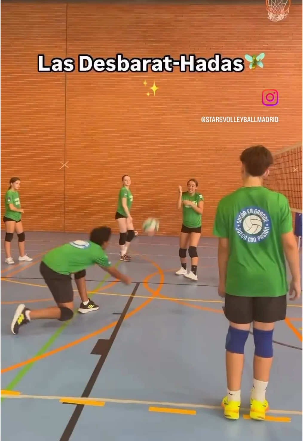 @stars_volleyball_madrid