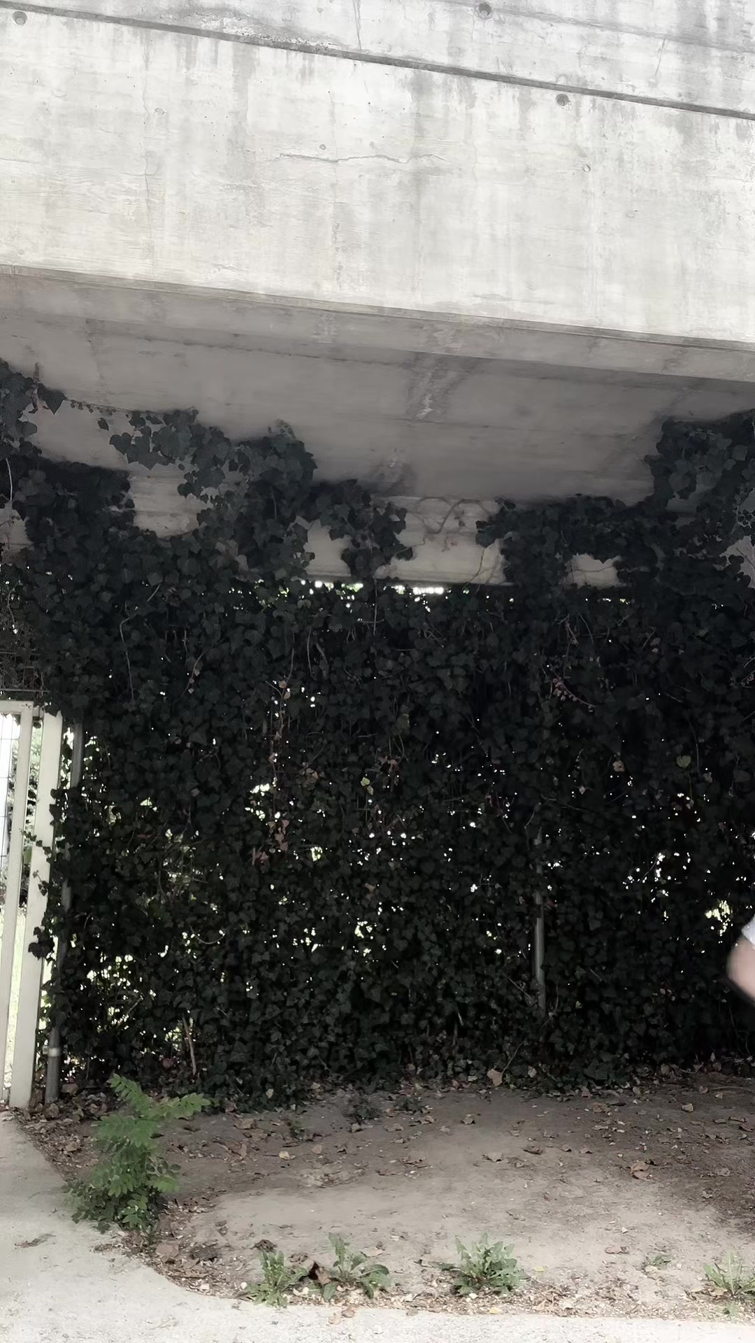 @✧.*𝕾𝖆𝖘𝖈𝖍𝖆/𝕾𝖈𝖔𝖙𝖙𖦹°‧