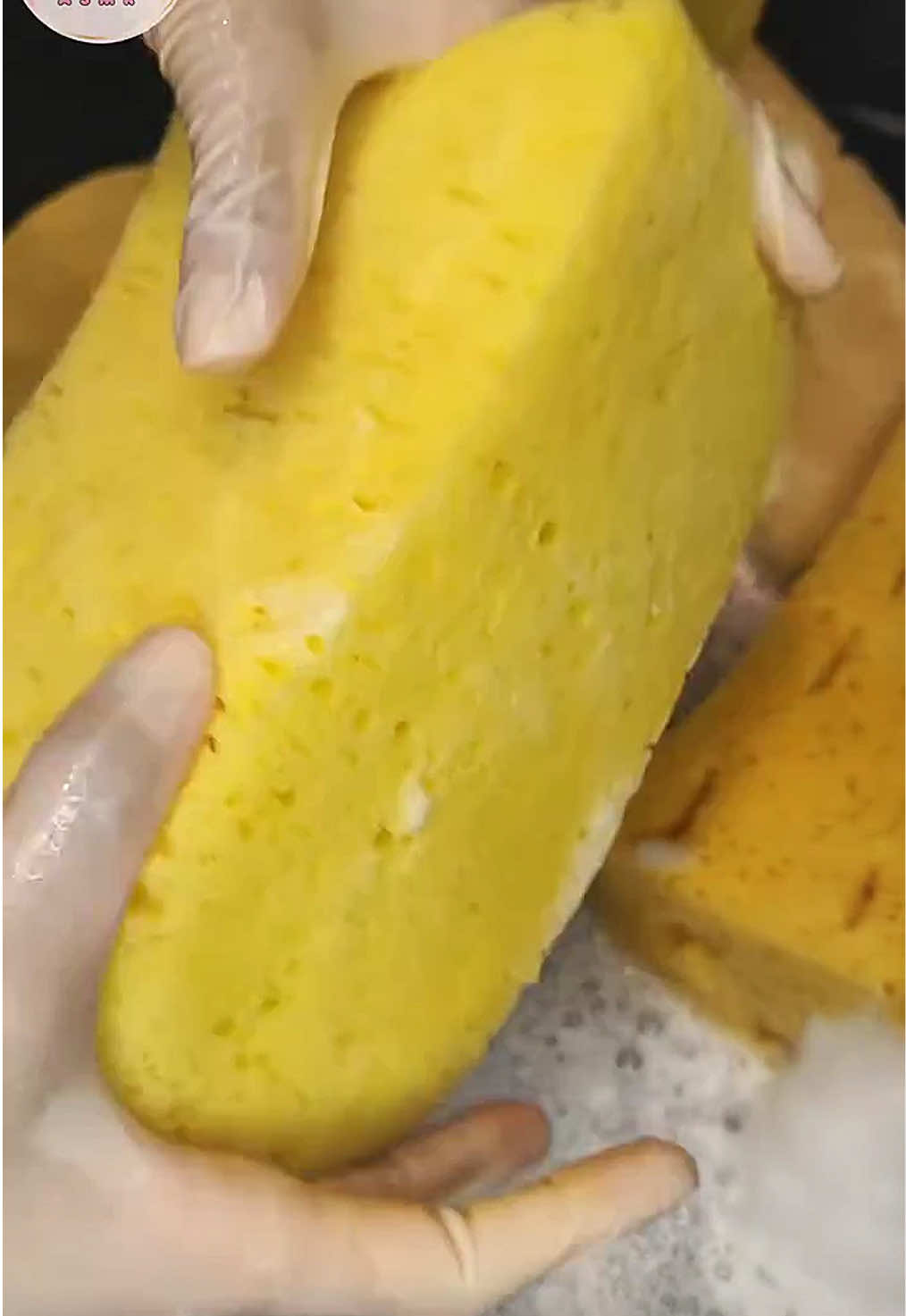 @HD Spongetok