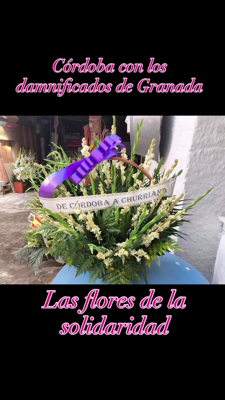 @Labambalinacordoba