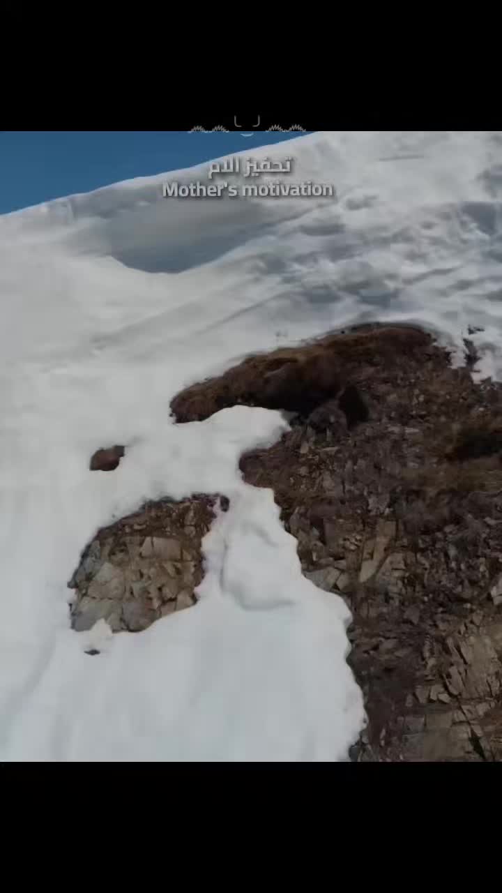 @෴෴╰‿╯෴෴ 𝐊𝐢𝐧𝐠