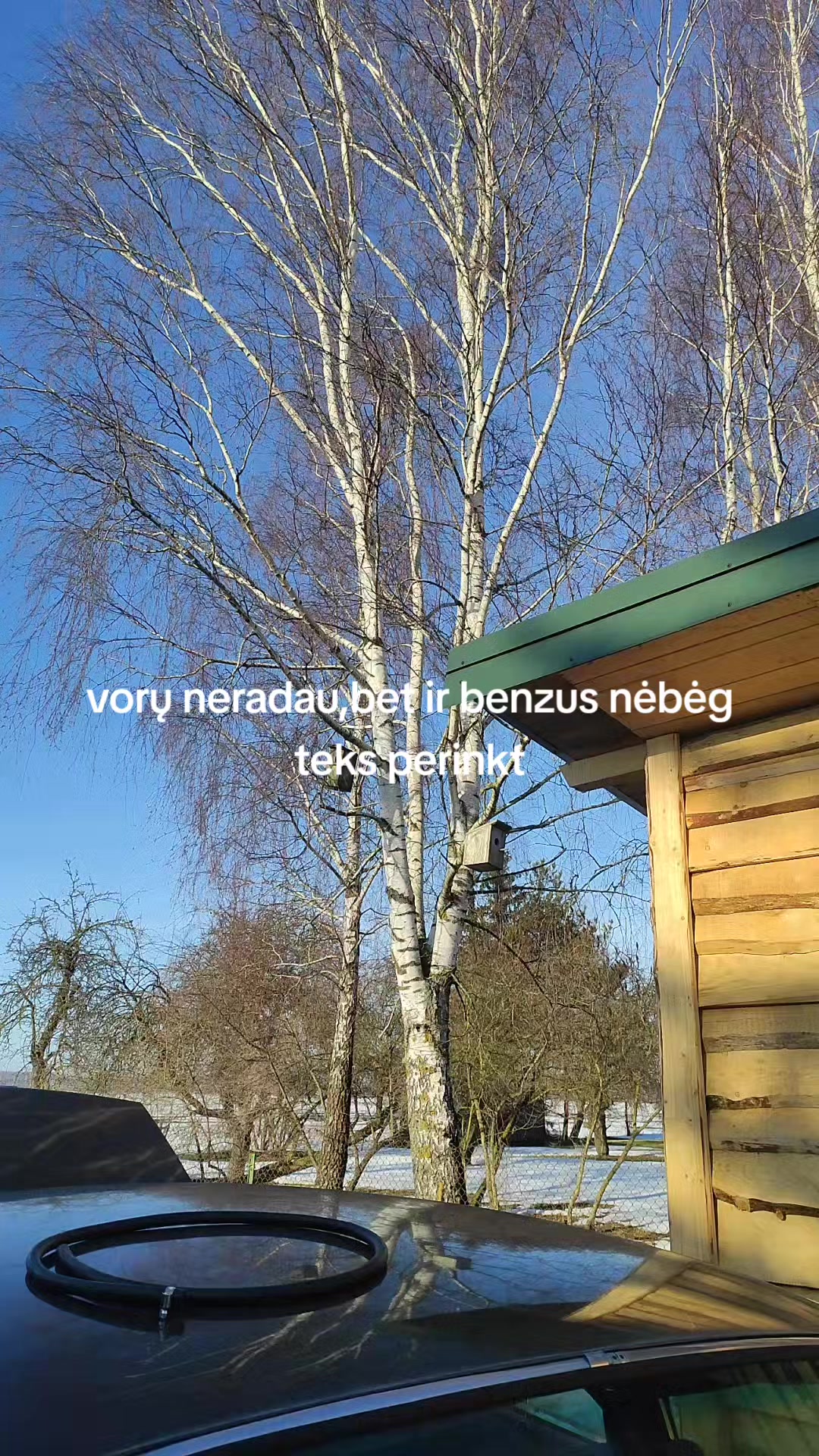 @bruklenbaunc008