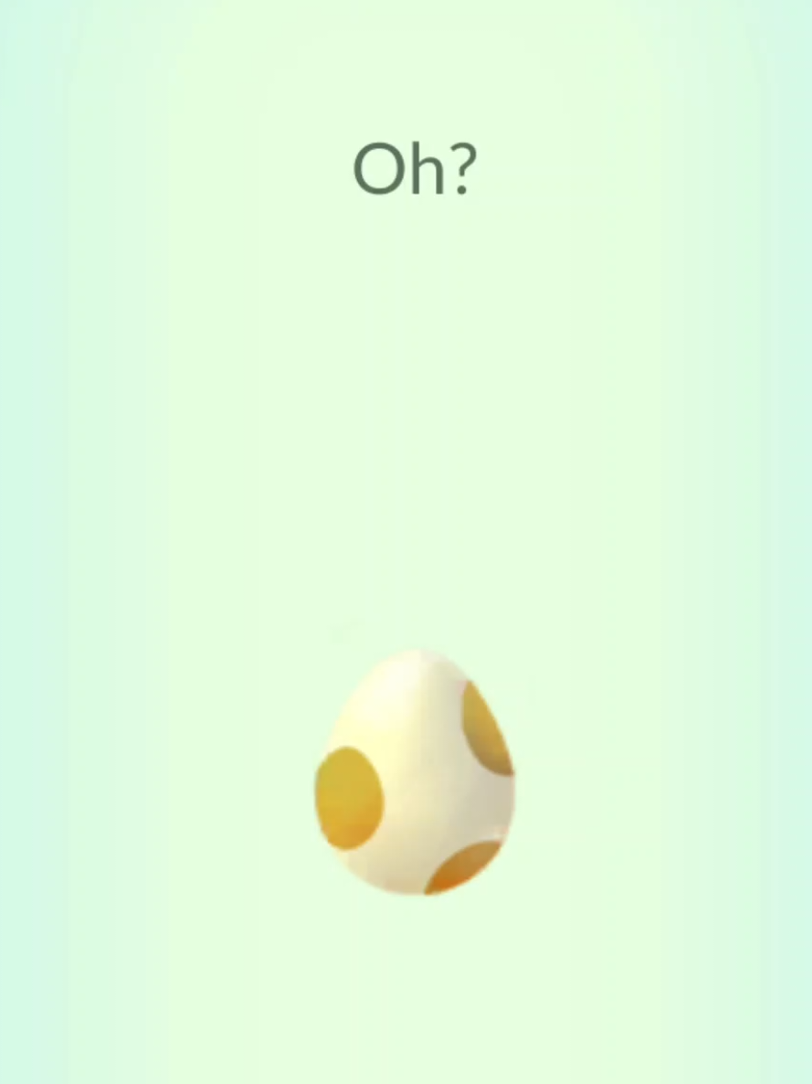 @Pokemon Playtimez - Nat