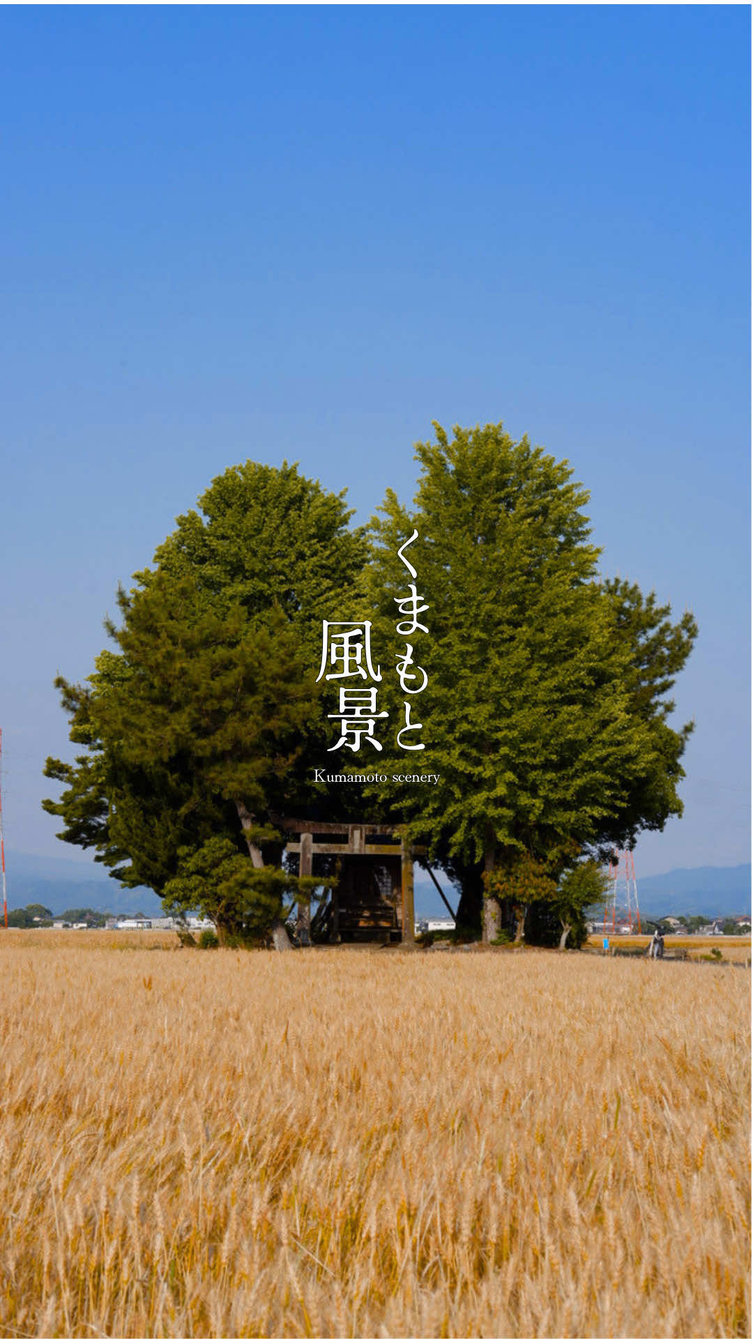 @徒然なるみさん|熊本の神社仏閣