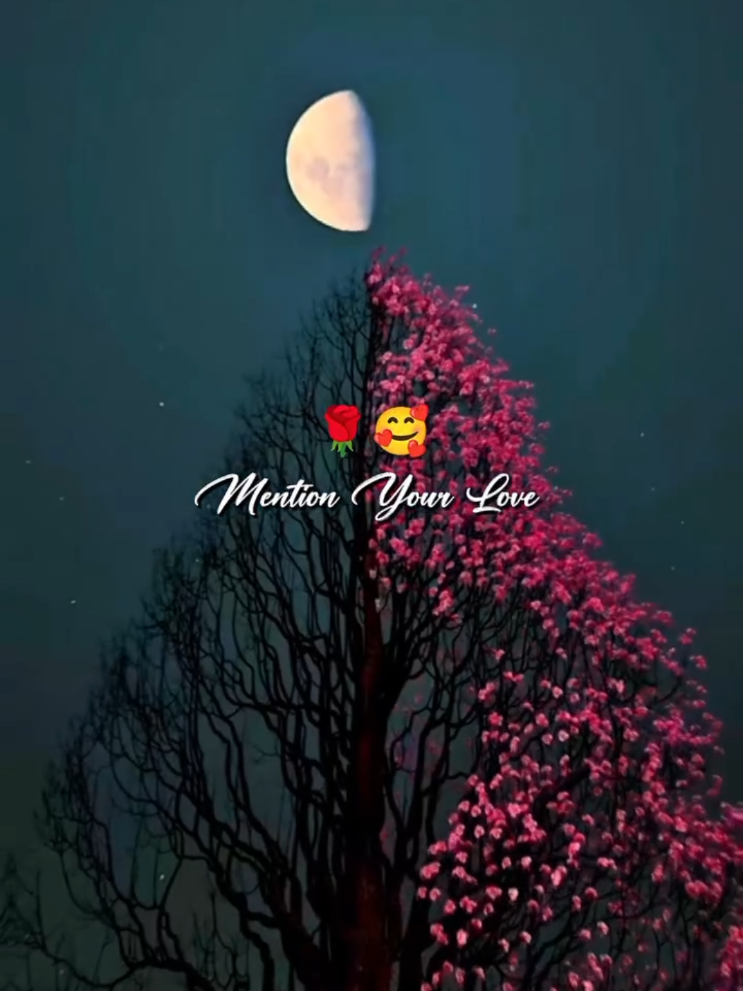 @🦋⃟Akash♡_Hun_Yr🖇️🤍