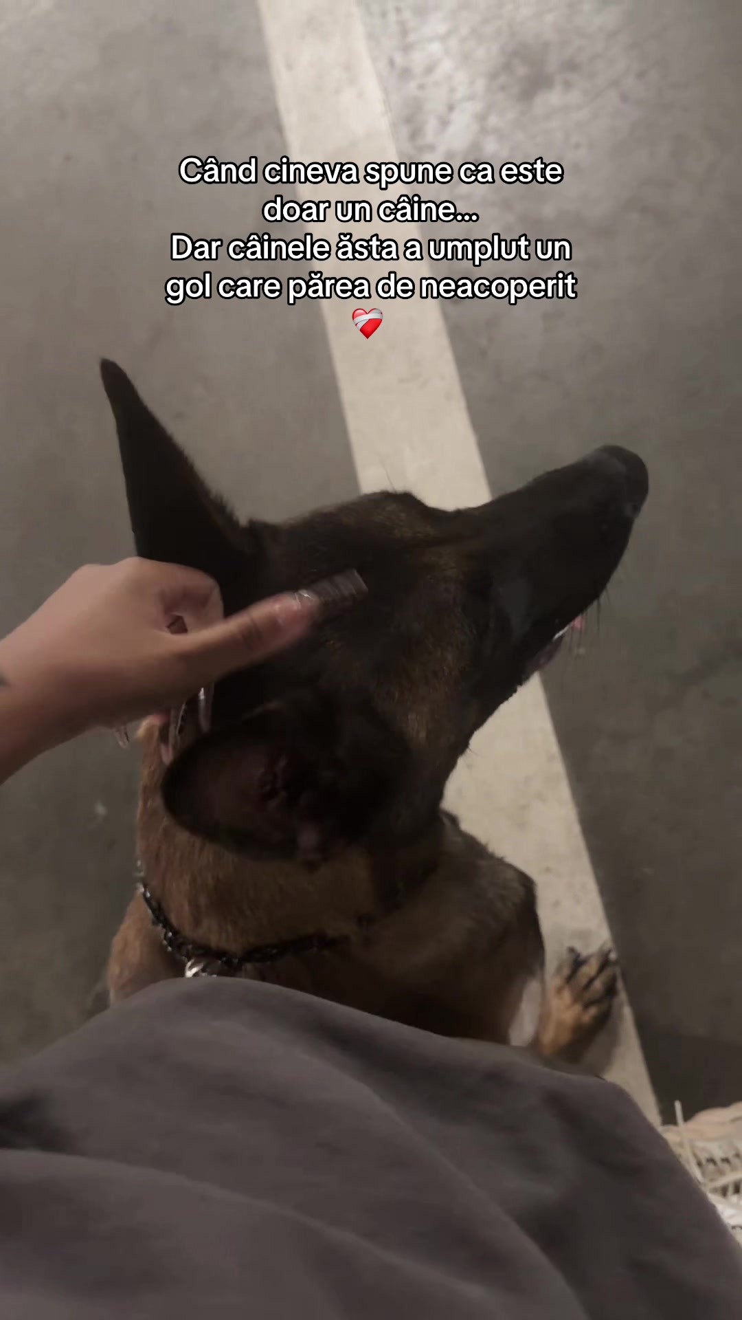 @E