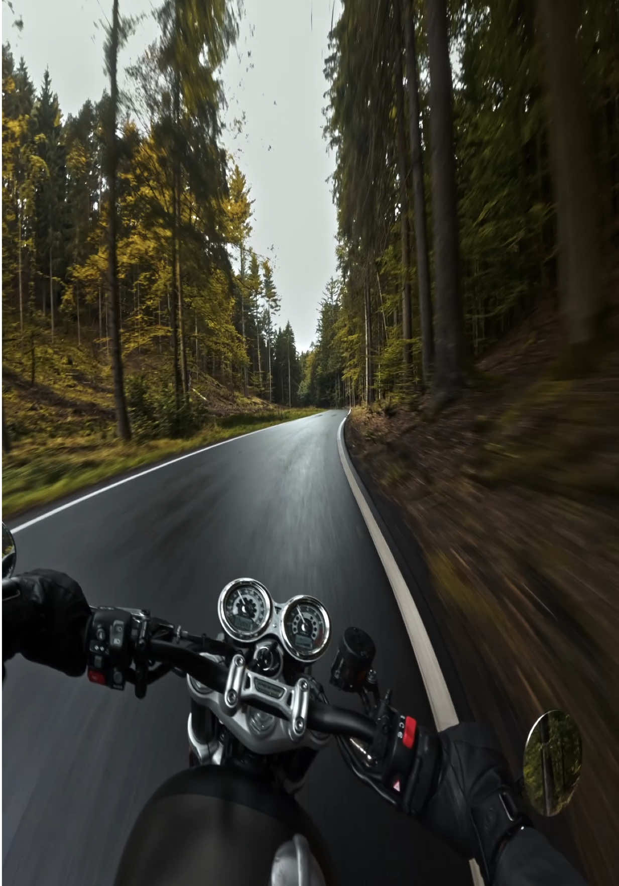 @motoswiftness