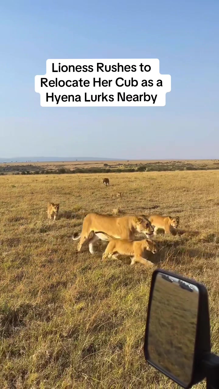 @KJ@LoveAnimalsEpicNature