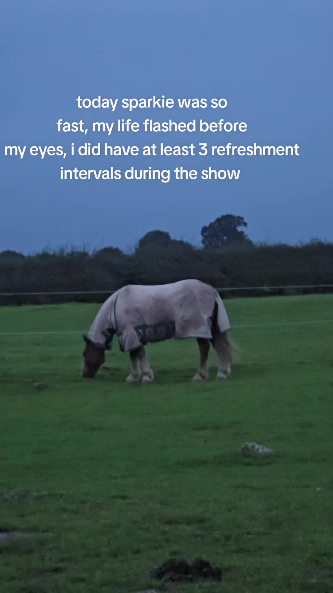 @ponymidlifecrisis
