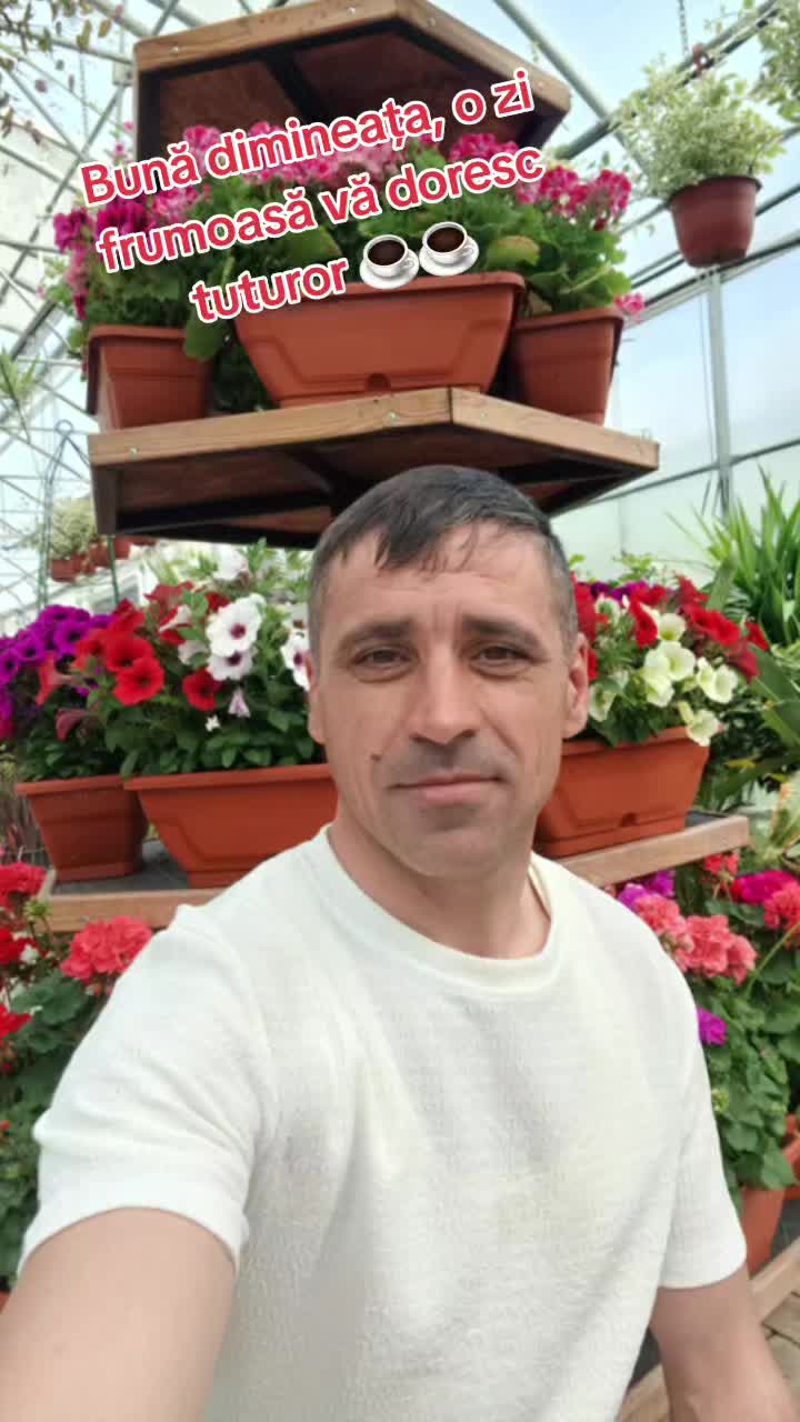 @Ion Georgescu