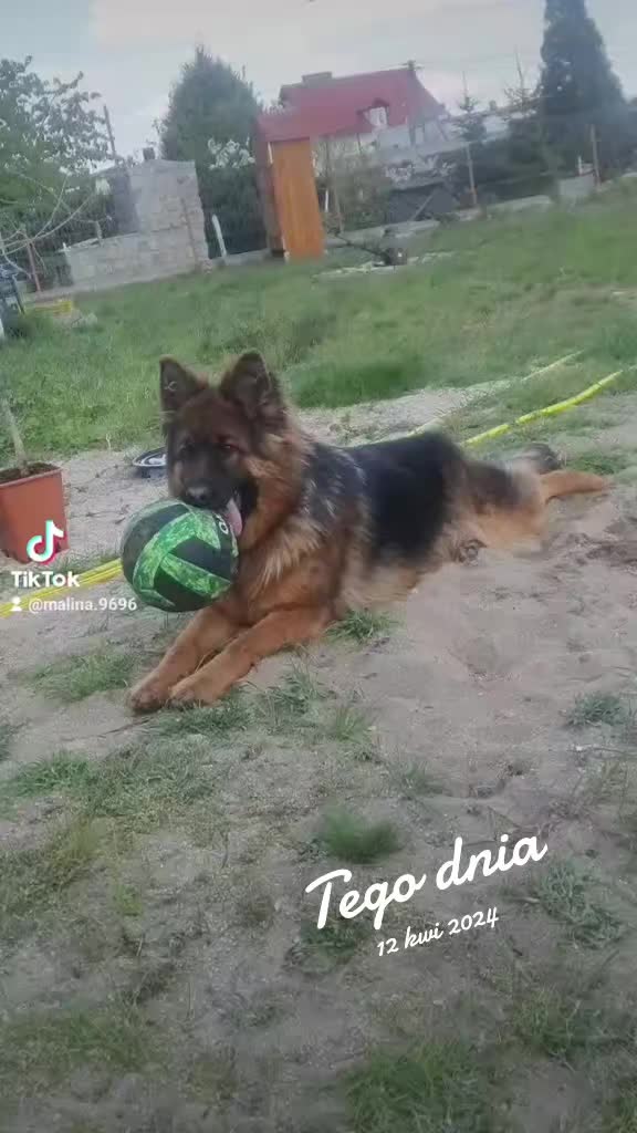 @malina.9696
