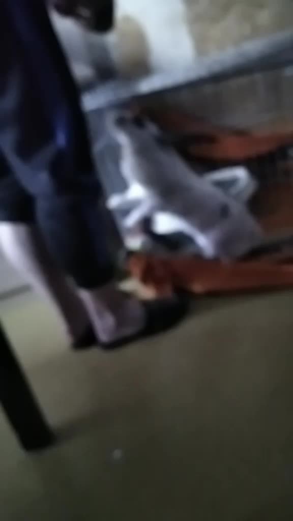 @просто настя