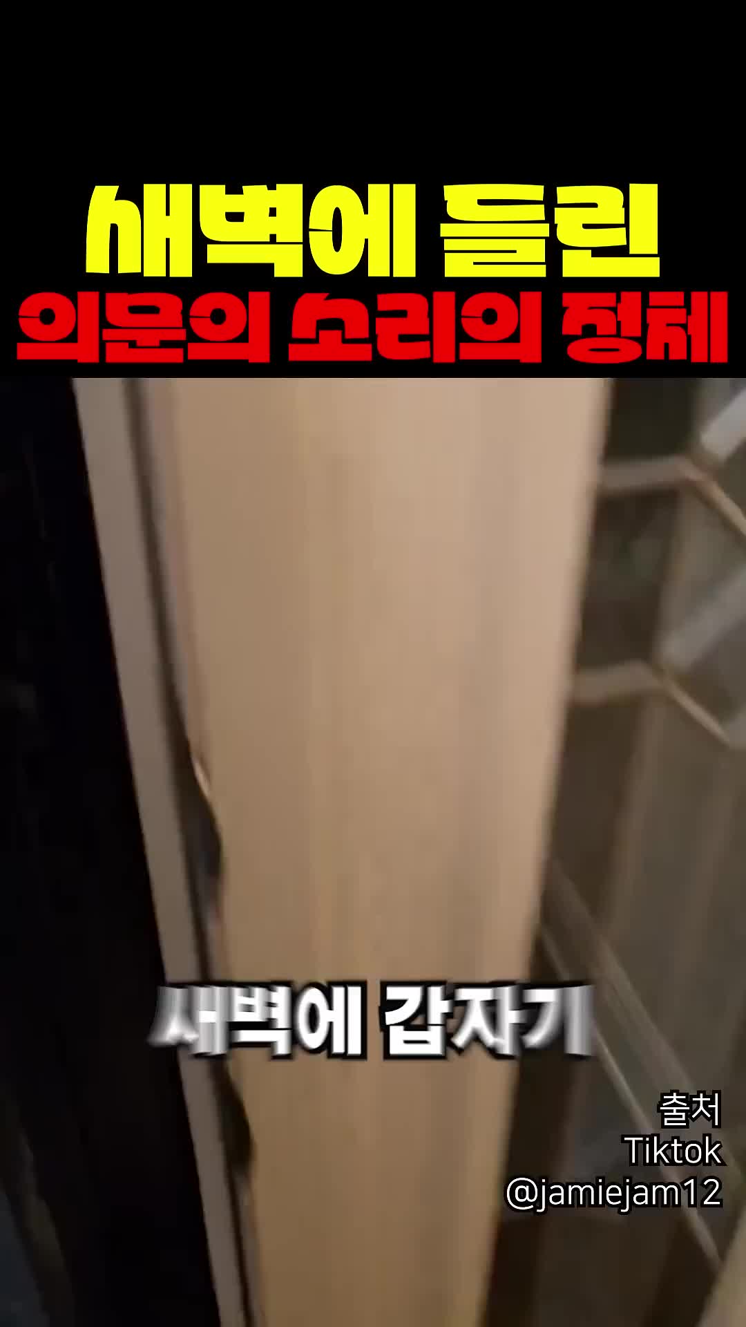 @짱아까미