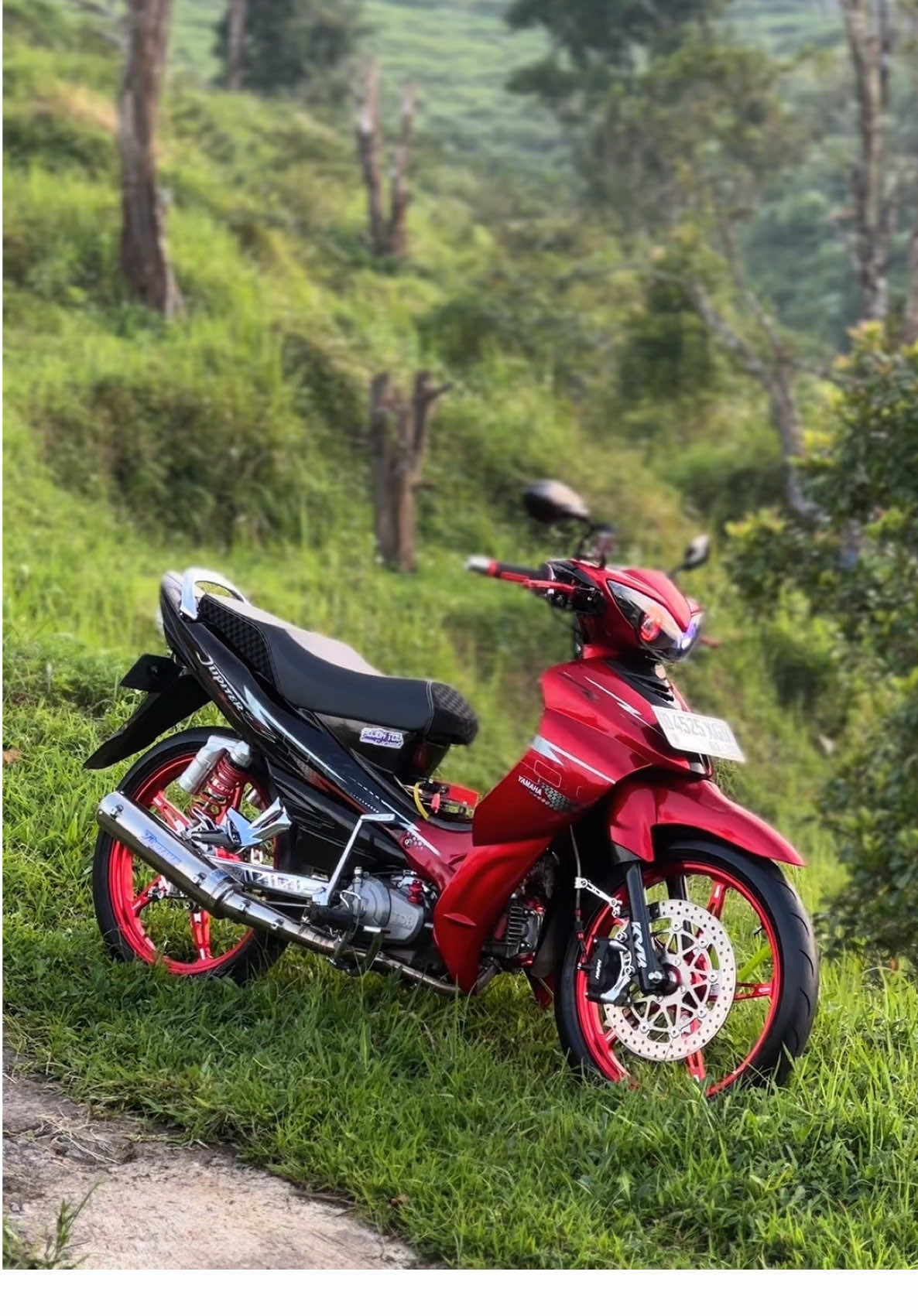 @Bintang 5TP ⚡️