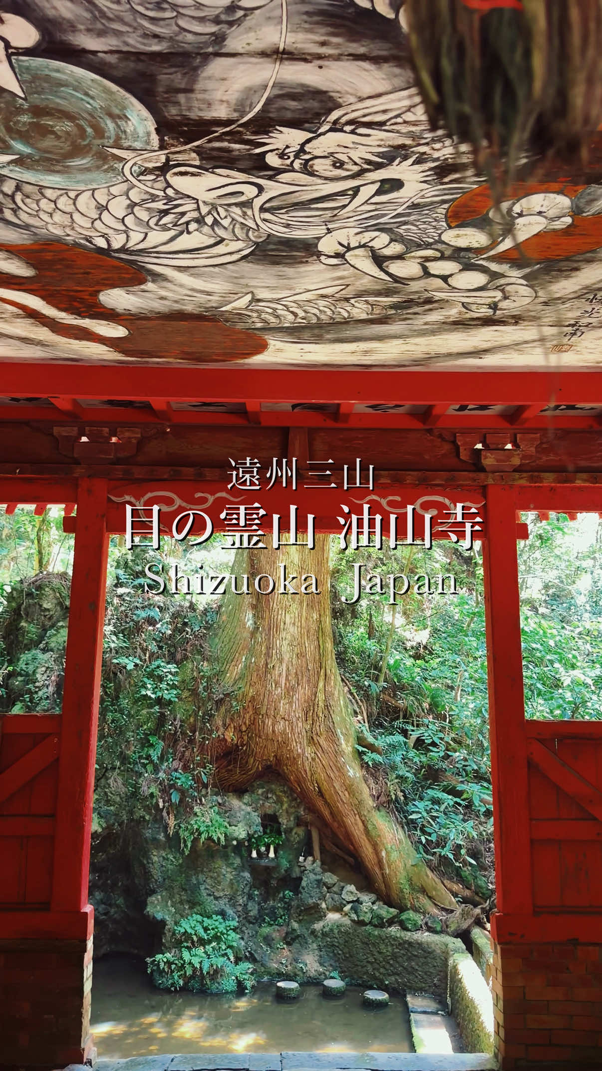 @tabi_momoka/観光•旅行