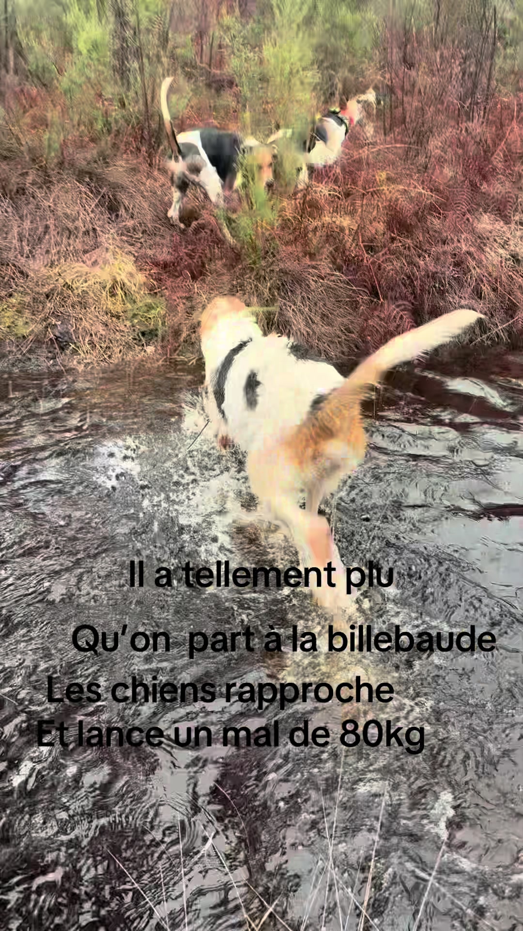 @desterresdejossaume