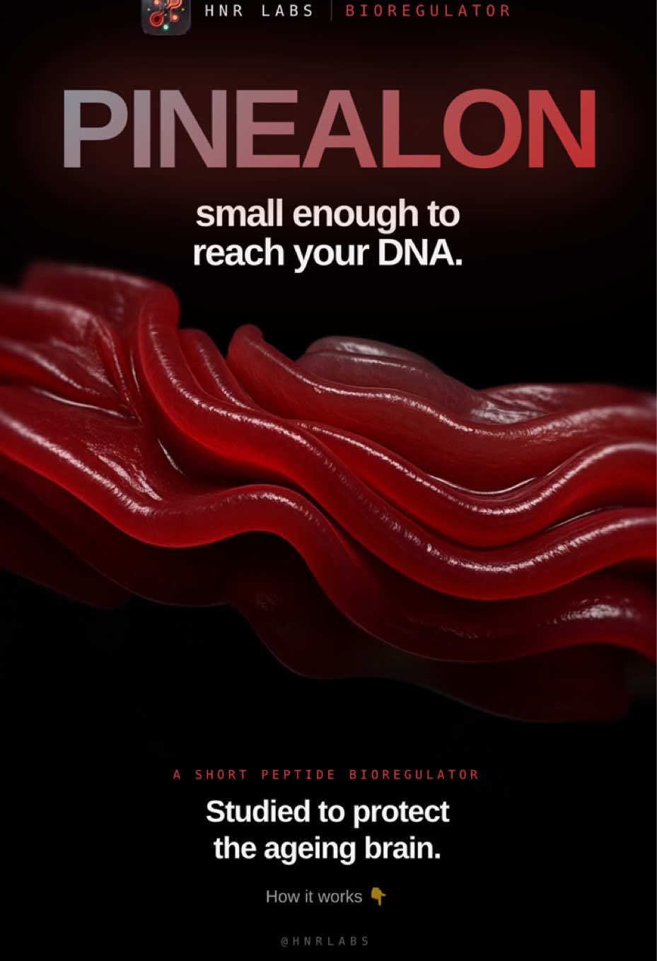 @HNR Labs