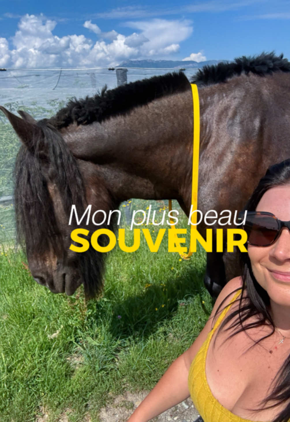 @Untraitdecheval