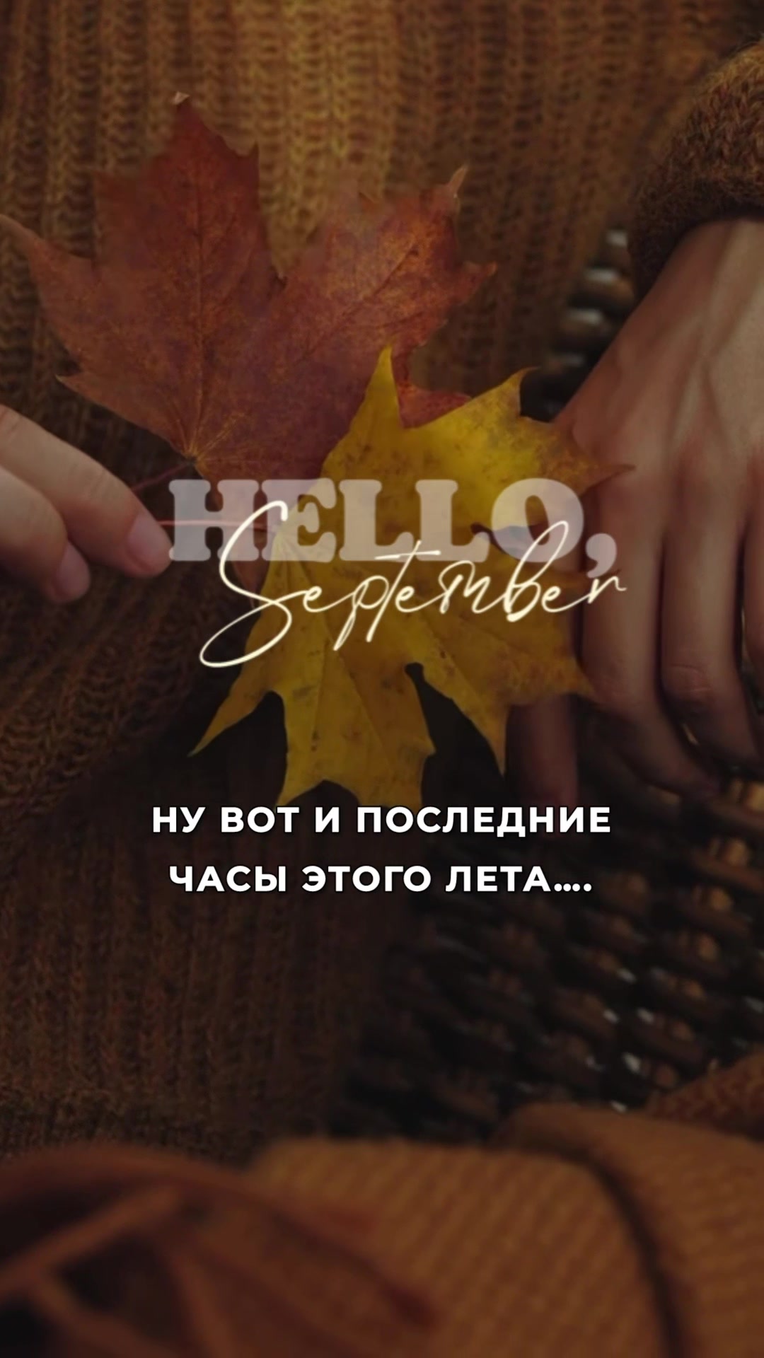 @Vera