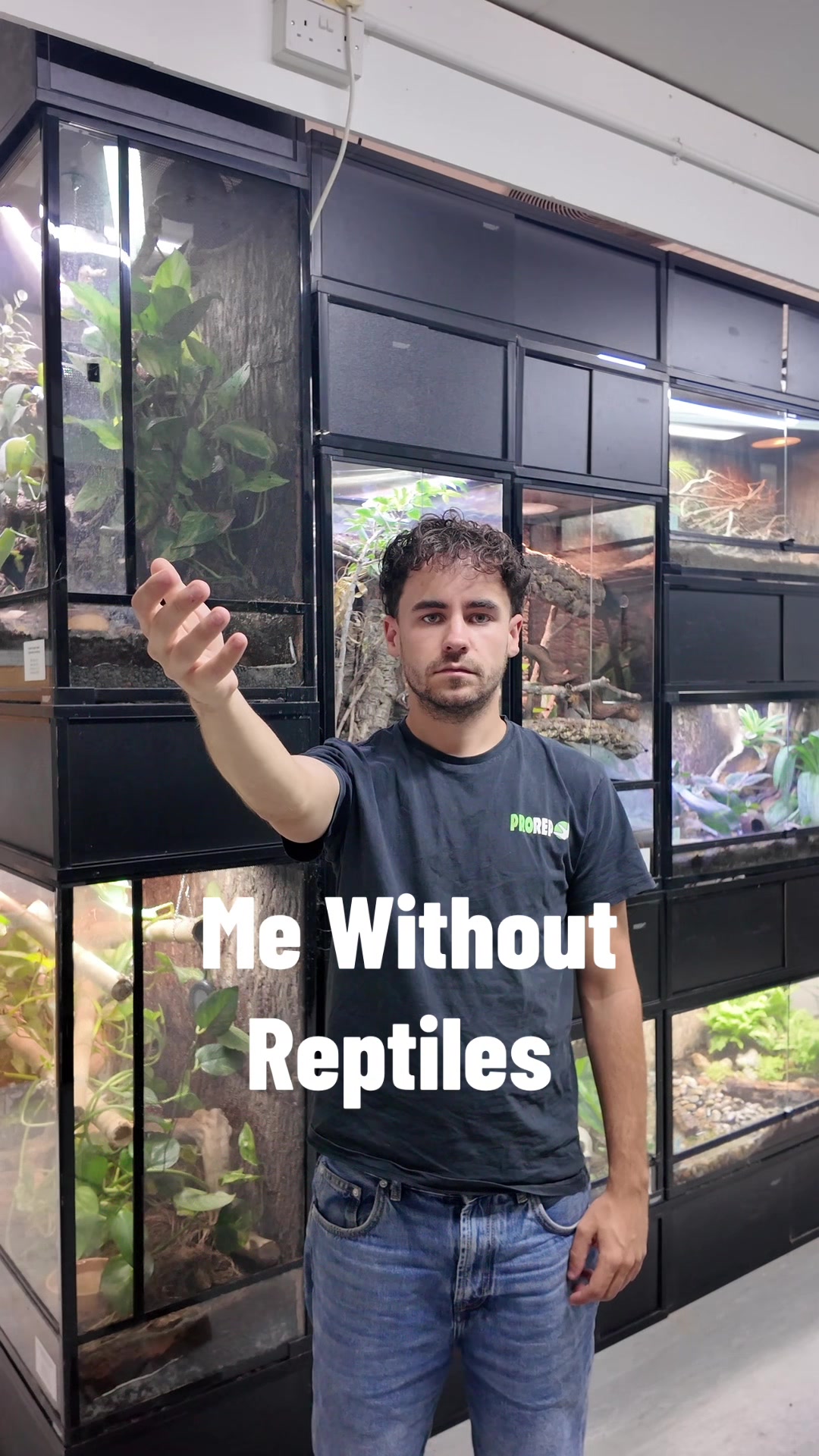 @prorep_reptile
