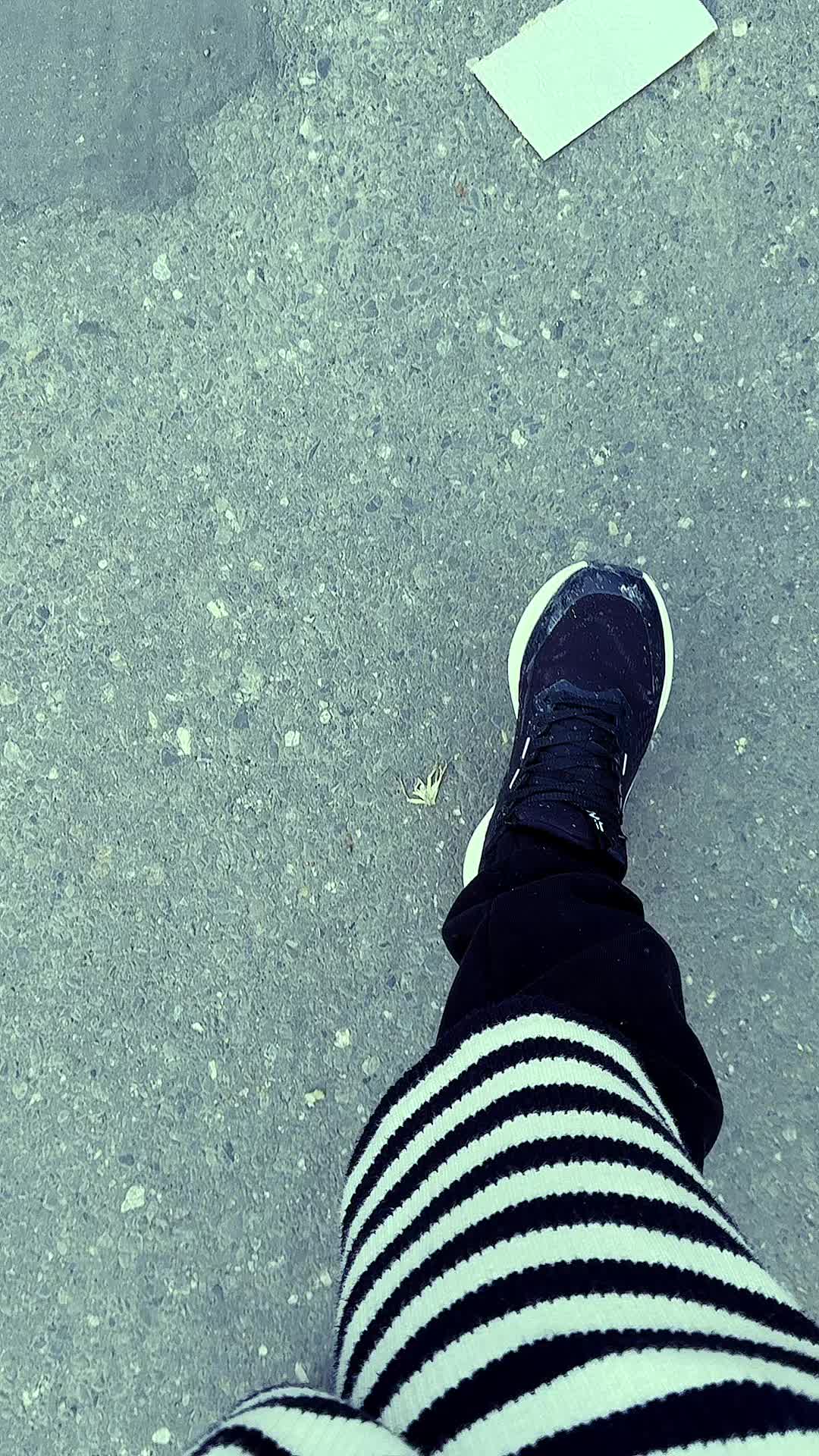 @zamonam
