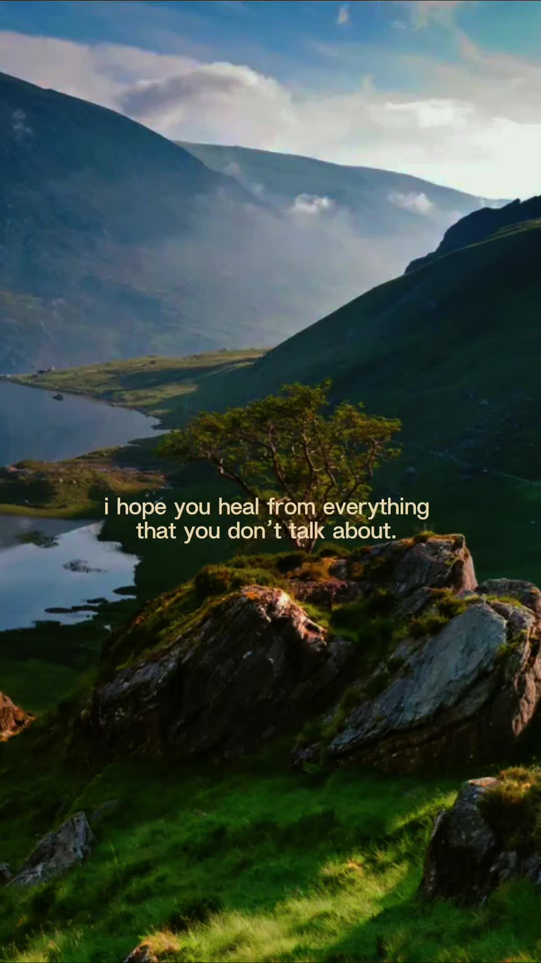 @Cameron Cook
