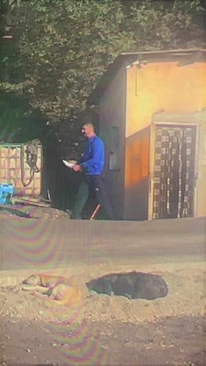 @SEBASTIAN PĂTRAȘCU