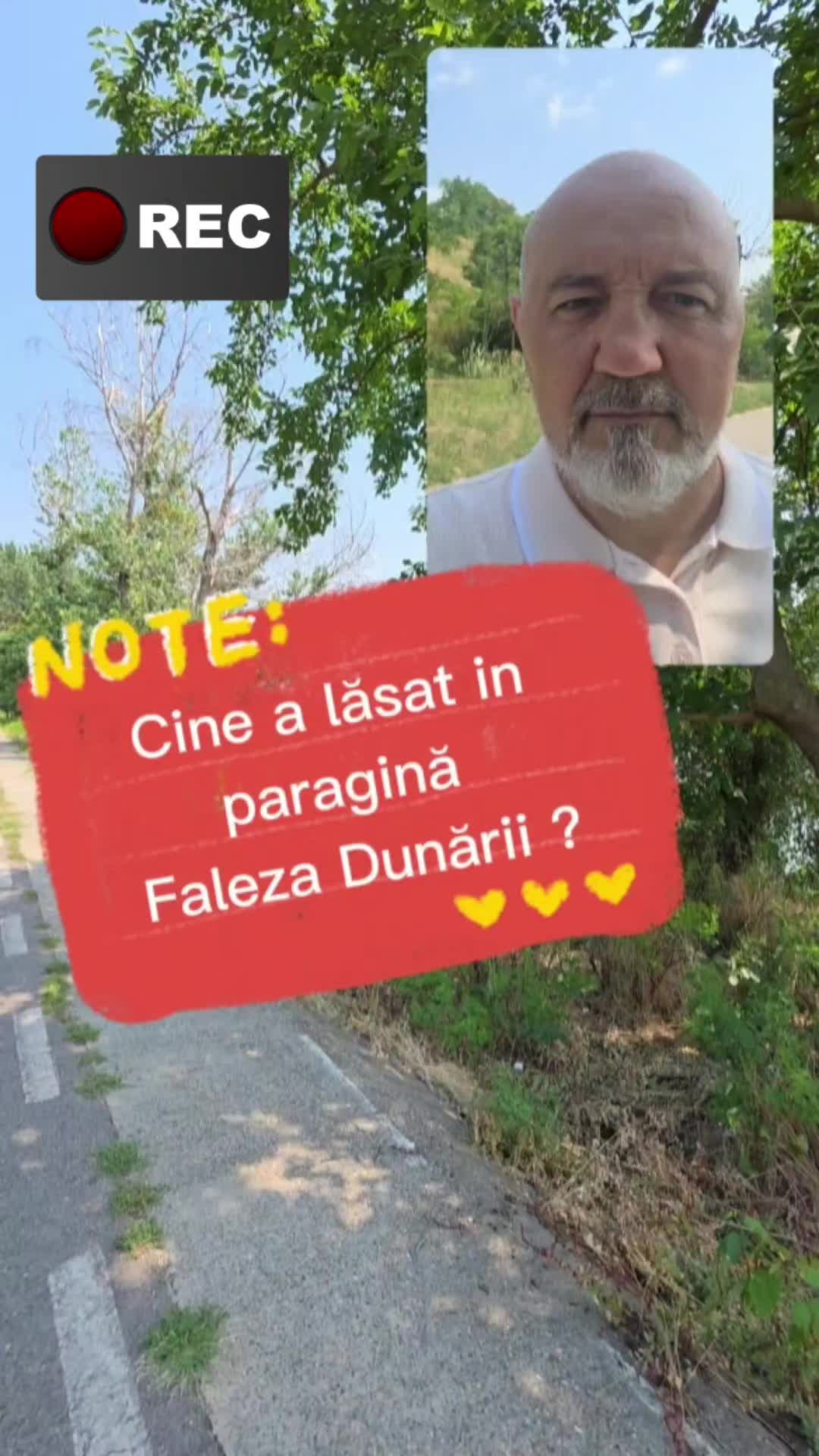 @George Stefanache