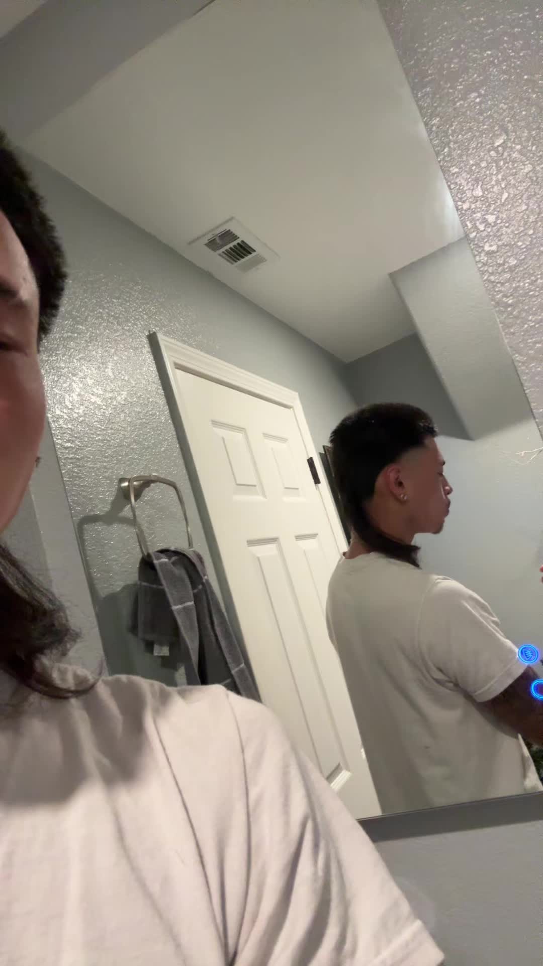 @🦈