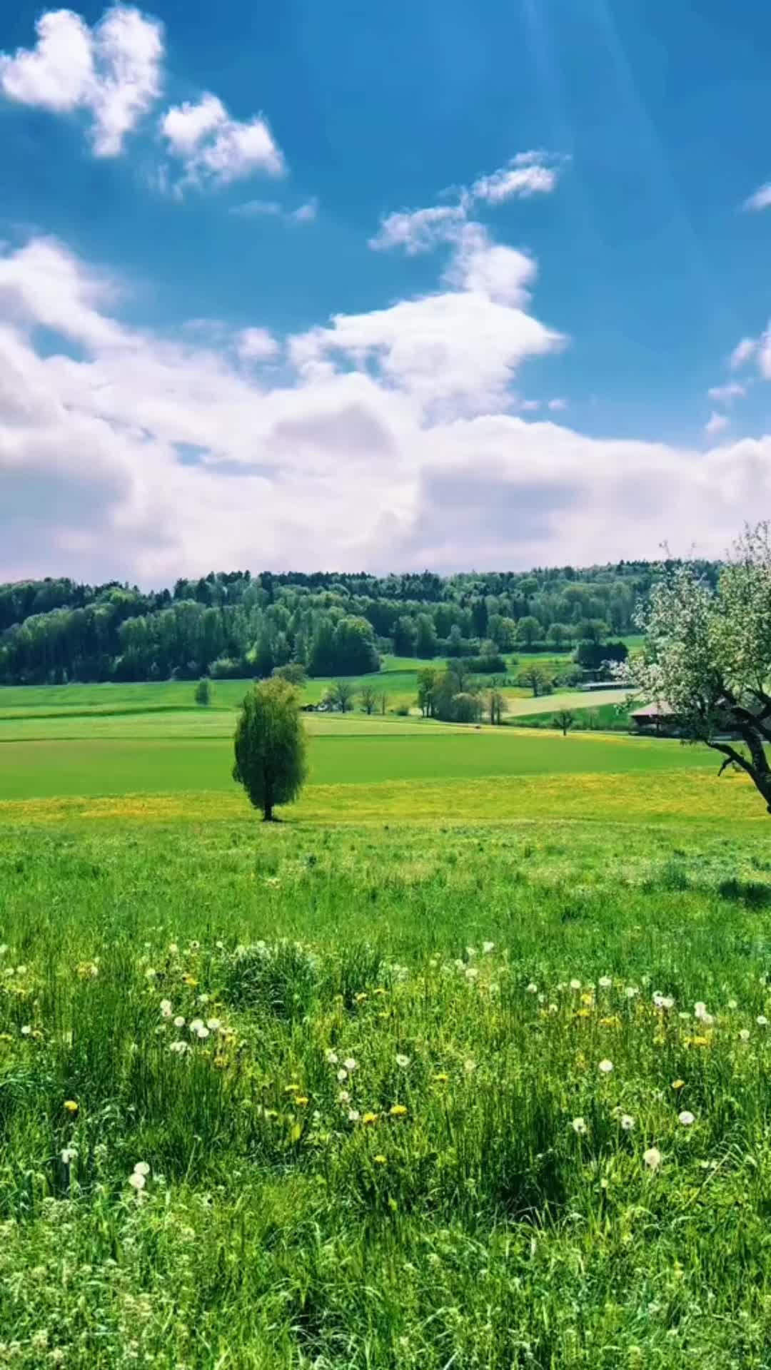 @TatuSwiss🇨🇭❤️🇳🇵