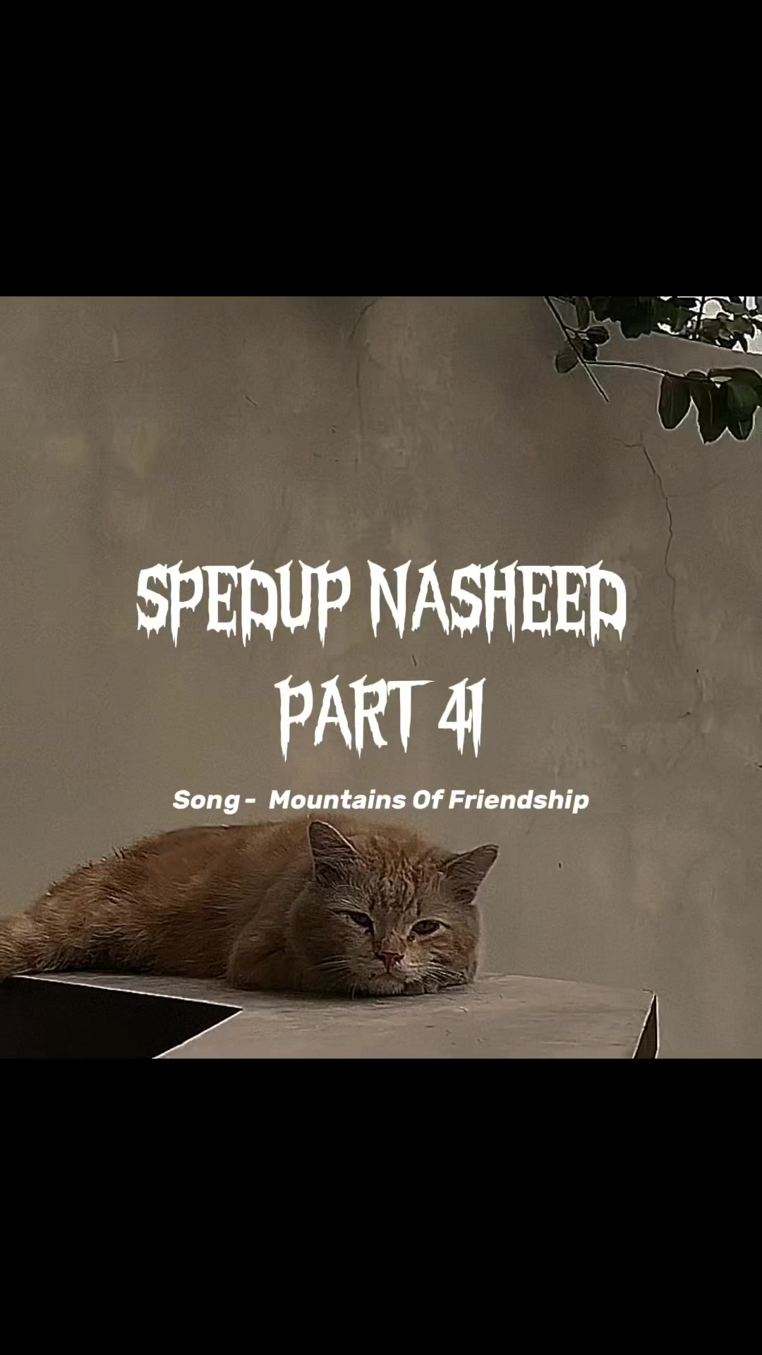@Nasheed