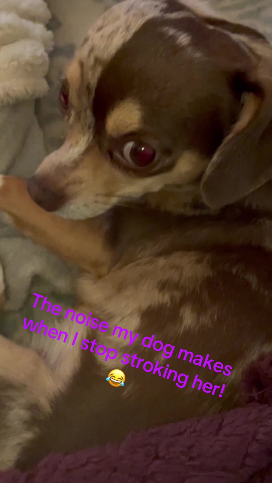 @Tik Tails