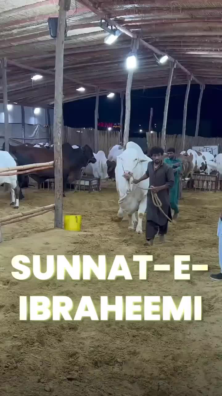 @Respect786_