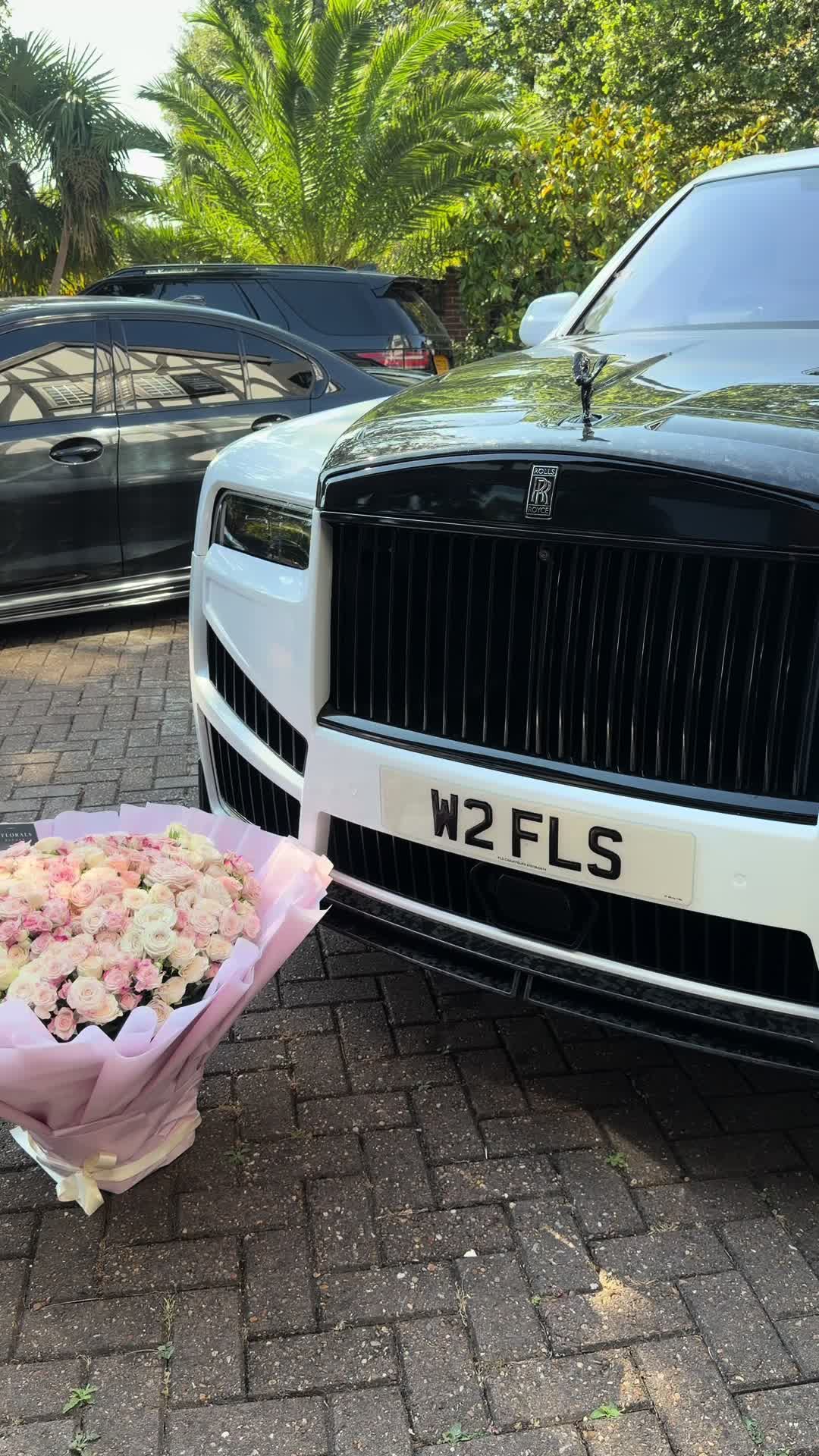 @floralsaurora