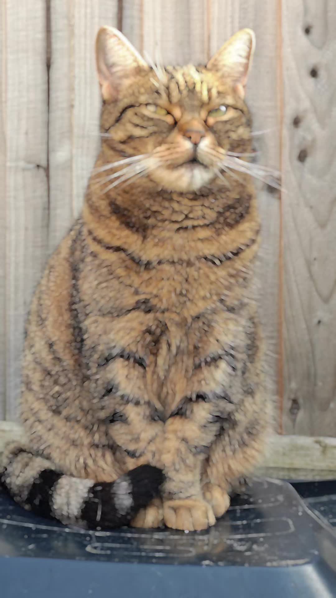 @S.Jevgēņijs
