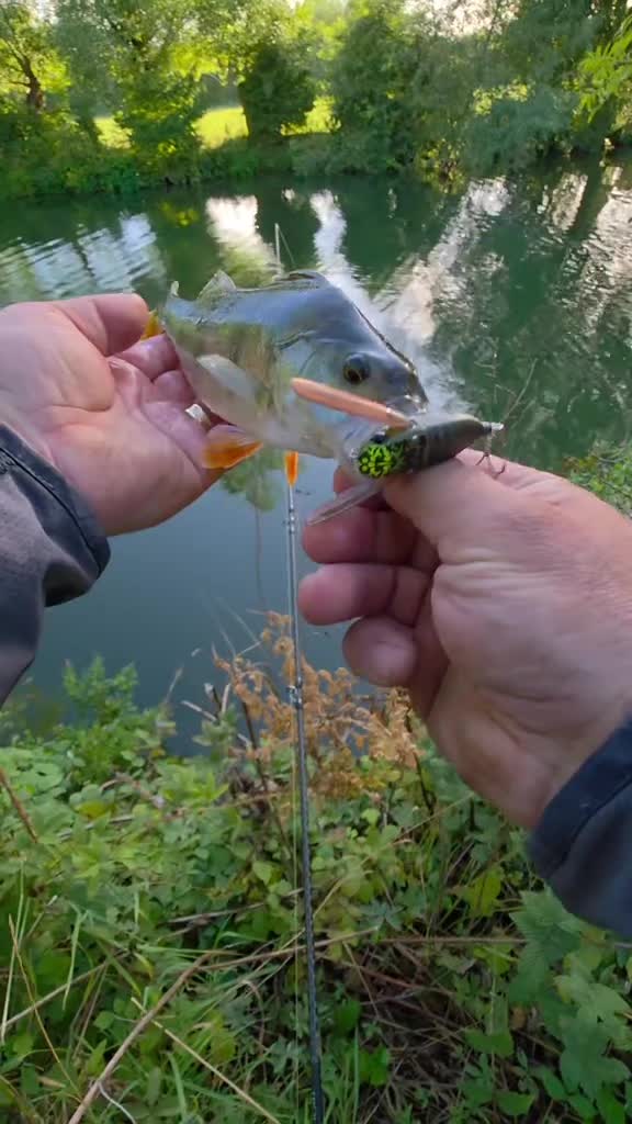 @BF Angler