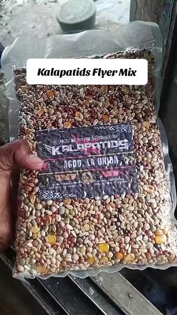 @KALAPATIDS SHOP 🕊️