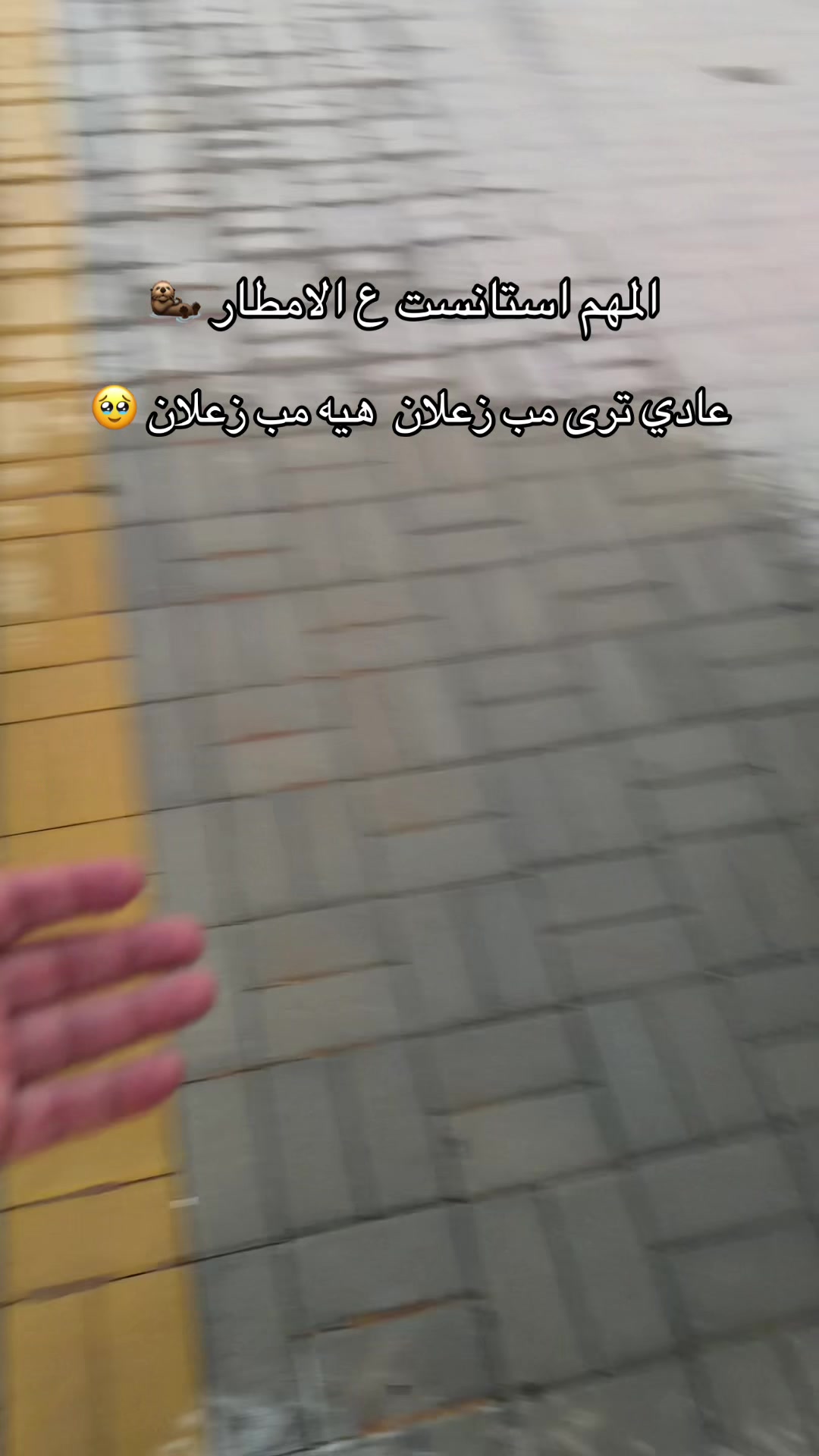 @﮼بن،حميدان • 🇦🇪 𝕋𝔻