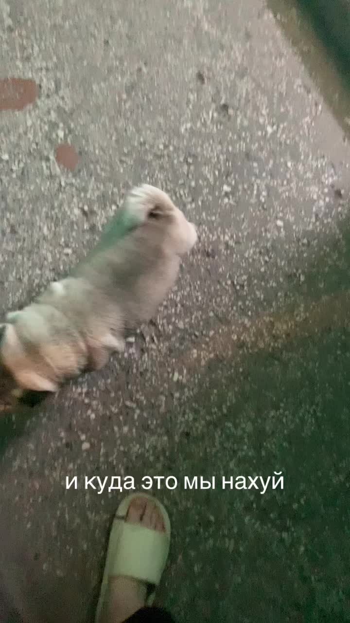 @Тру: ЖоРкА