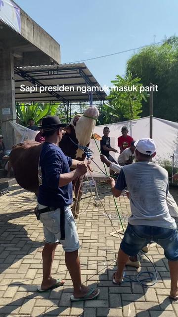 @REKAM CERITA
