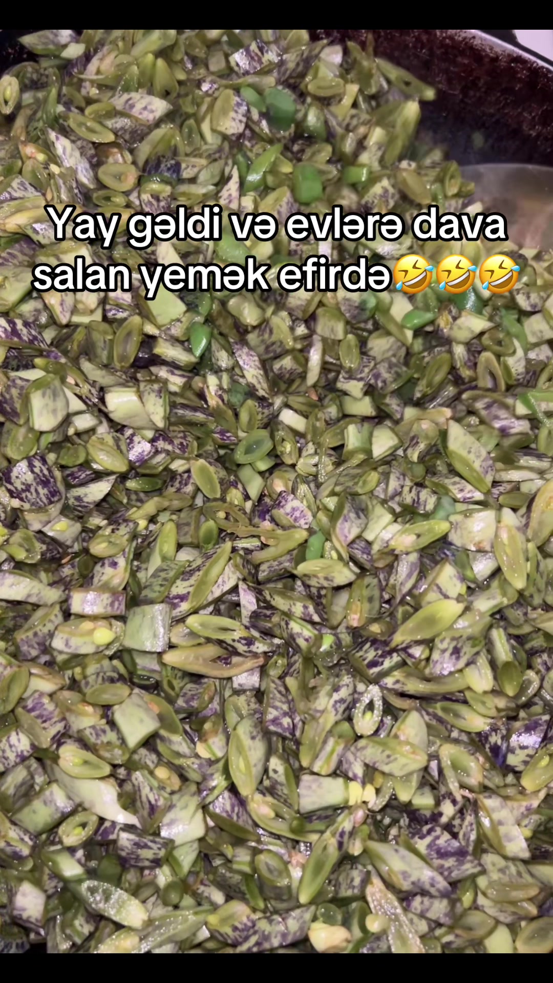 @🐝