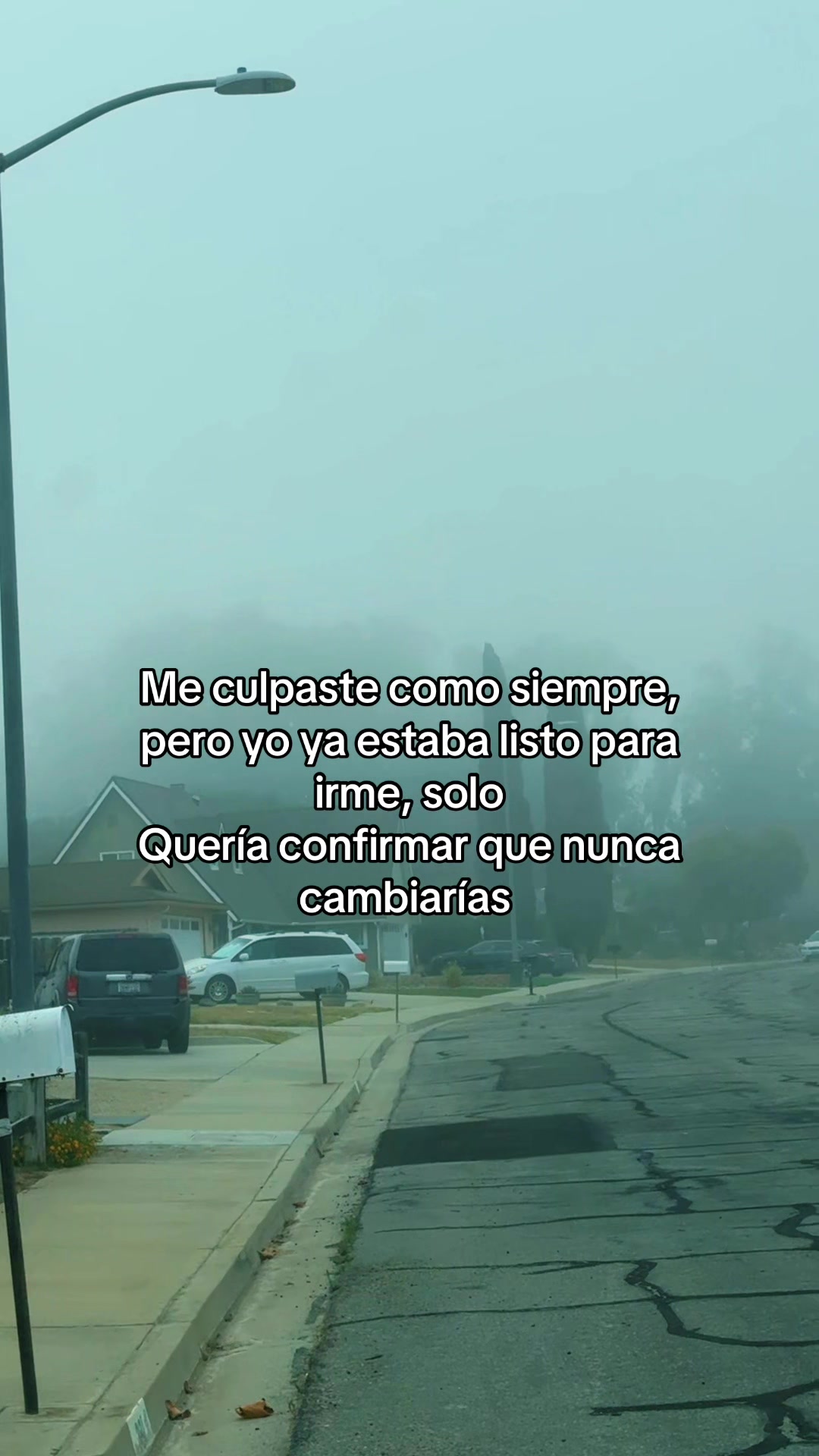 @🖤amado8057
