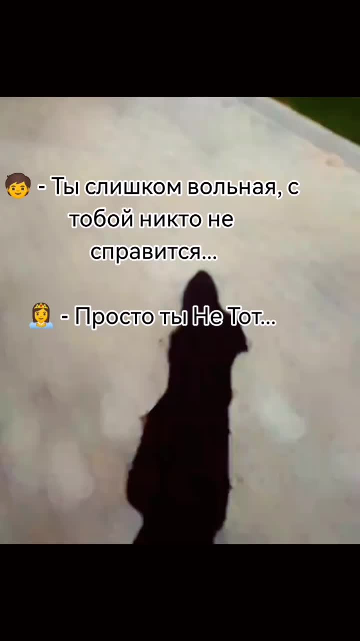 @🐾☑️Natali🐾